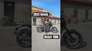 2025 Honda Rebel 1100 DCT Sound Test / What Do YOU Ride?!?