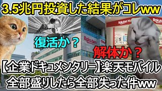 【楽天カードマンの裏側】楽天経済圏の光と闇ww #猫ミーム企業