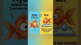 do you know | #trending #shorts #shortvideo #trendingshorts #infoknow #doyouknow
