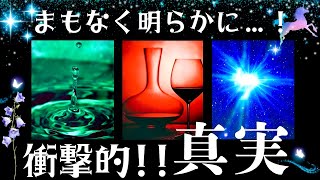 【衝撃💥】驚きの真実が明らかになります…！！