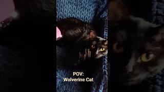 #marvel #wolverine #fan #caterine #original #meow #pov #tunein