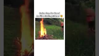 Coke as a Fire Extinguisher?! 🔥😱 #Shorts #LifeHacks #CokeHack #FireHack #viral #fire