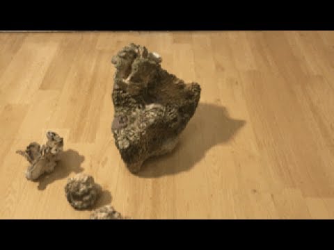 An aquascape for the corals