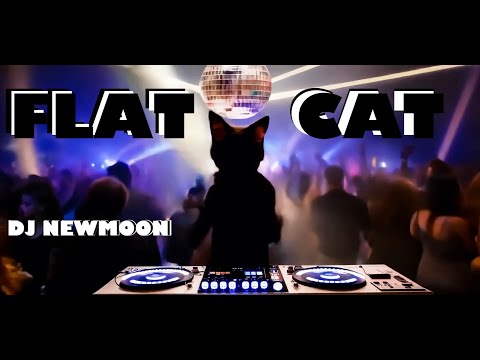 DJ NEW MOON - 𝐅𝐥𝐚𝐭 𝐂𝐚𝐭 (𝐌𝐮𝐬𝐢𝐜 𝐕𝐢𝐝𝐞𝐨)