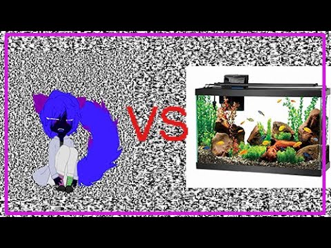 Sleep deprivation vs Minecraft prison
