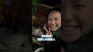 聽不見的蘿蔓在世界另一端展開新生活啦！ #浪浪別哭 #讓我陪你等家 #浪蘿蔓 #浪浪別哭台北店 #浪浪到家了 #聽不到的狗狗