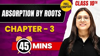 ABSORPTION BY ROOTS in 45 Mins | Complete Chapter Mind Map | Class 10 ICSE BIOLOGY