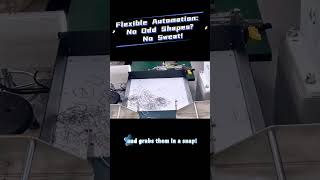 #FlexibleAutomation : #Feeding Frustration? One-Click Fix! Masters Any Size & Shape.