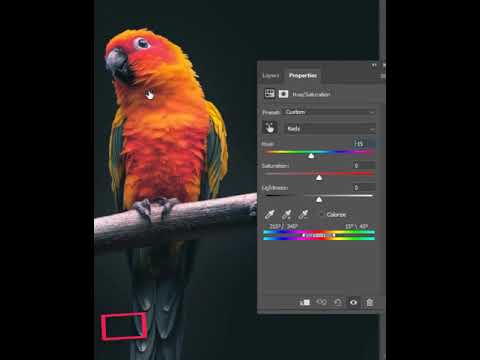 adobe color effetct short video adobe short tutorial