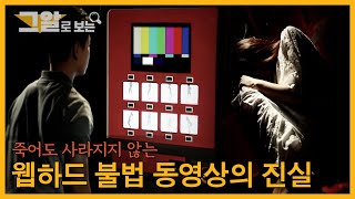 죽어도 사라지지 않는, 웹하드 불법 동영상의 진실 |  그알로 보는