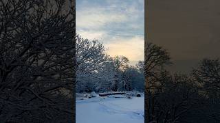 You are strong #nature #zenvibes #positivevibes #inspired #healing #snow #aesthetic #meditation