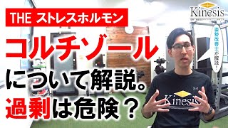 「コルチゾールについて。これは姿勢にも慢性疲労にも影響する」名古屋の姿勢・機能改善パーソナルジムKinesis代表トレーナー宮奥丞