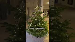 #новийрік #merrychristmas #новорічніприкраси #прикраси #різдво #свята #данія #життявданії #ялинка