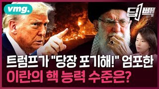 미국 트럼프가 초강경 대응한 이란의 핵 능력 수준 어땠길래 / 딥빽 / 비디오머그 #이스라엘 #이란