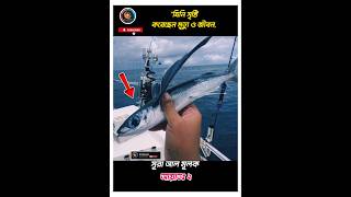 🐟➡️🕊️যে মাছ  আকাশে ওড়ে – এটা শুধু আল্লাহরই কুদরত! #shorts #foryou #ayat #quran #recitation