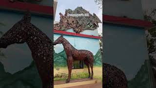 India’s 12th rank and Odisha’s 1st rank industrial training institute is BERHAMPUR ITI ♥️