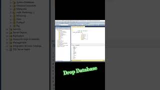 Drop Database #database #sqlforbeginners #sqlserver #sqlinterviewquestions #mssql