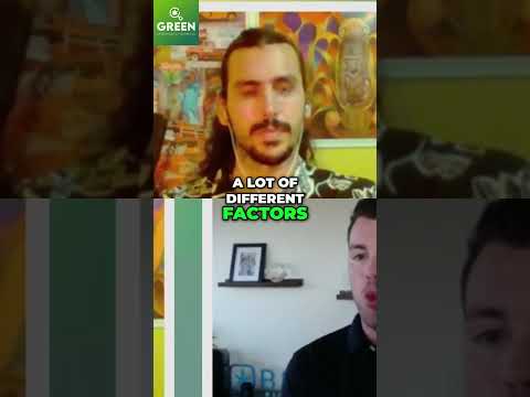 Weedmaps Ads: ROI & Optimization Tips