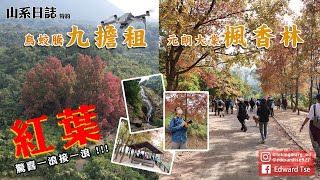 【 4K郊遊團 EP1 】🍁紅葉導賞團🍁 (烏蛟騰九擔租－大棠楓香林) 🤩有驚喜比大家｜行山路線分享｜打卡景點｜航拍｜秋冬系列｜山系日誌 Hikingdiary_ed