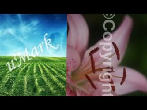 How to put WATERMARK on your Video or Picture