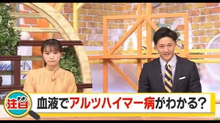 「カギは血液」アルツハイマー病が健康診断でわかる日が来るか…最新の認知症研究を取材してみた