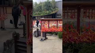 太宰府天満宮＃神社巡り＃福岡