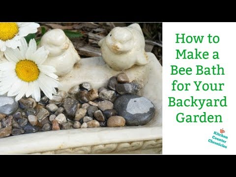 How to Make a Bee Bath