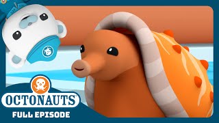@Octonauts - 😱  The Cone Snail Invasion 🐌 | Season 3 | Full Episode | Cartoons for Kids