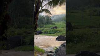 CINEMATIC Sungai dikala curah hujan tinggi #indahnyadesa #explore #travel