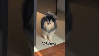Happy Birthday Yeontan Baby 🎂🥳🎉//Bts hindi funny dubbing 😜#darkbtsvenom 🔥