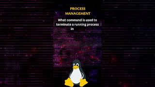 Linux Byte Bites: [Engaging Question in Less Than a Minute] #ByteSizeLinux #LinuxQuickQs