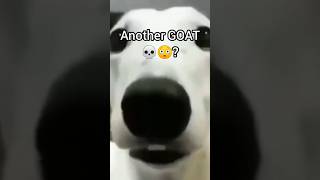 DURABILITY GOAT😳??!! (PART 3/4):S1 RECAP: KERAFLAN