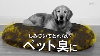 花王 リセッシュ 「ペット臭に」篇 動画広告 内村光良