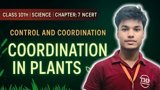 Control and Coordination in Plants// Lecture-2 // Class 10th Science// THP // Mohit Sir