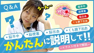 【Q＆A】カンタンに教えて！！脳梗塞・脳出血・くも膜下出血・脳卒中の違いとは？｟セラピスト女子が解説♪｠