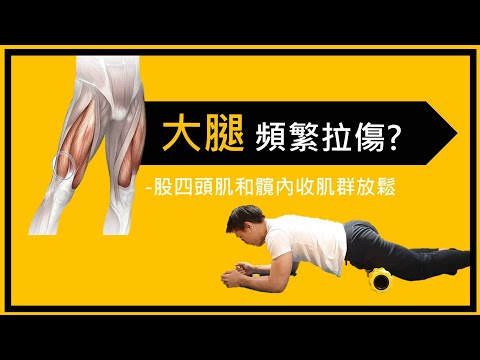【大腿頻繁拉傷？股四頭肌和髖內收肌群放鬆】