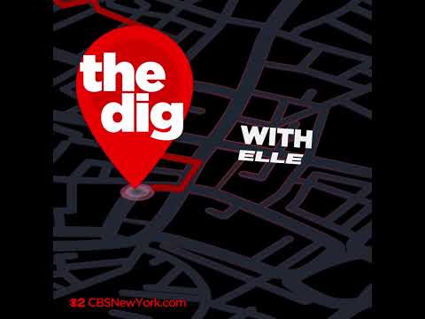 'The Dig' (Social Media Motion Graphics Promo)