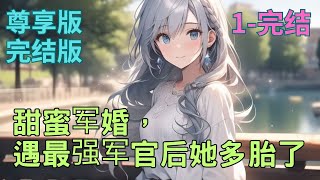 尊享版完结版《甜蜜军婚，遇最强军官后她多胎了》1- 完结