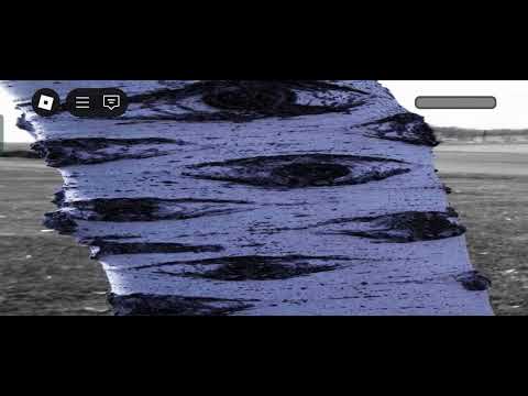 Roblox_footage.mp4