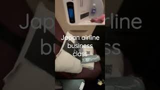 japan airline business class