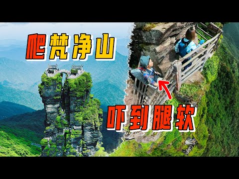 梵净山“天空之城”变游客之城？垂直山路徒手爬，全程不敢往下看
