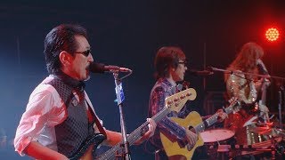 THE ALFEE  宇宙戦艦ヤマト2009 Rock Ver.【BEST HIT ALFEE FINAL 2015】