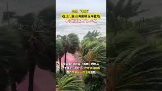 据广东省气象台消息，7月20日17时50分左右，今年第6号台风“韦帕”在广东江门台山海宴镇登陆，登陆时强度为台风级，最大风力12级。