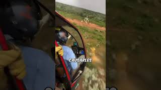 ¡Captura segura de animales utilizando tecnología de red aérea!