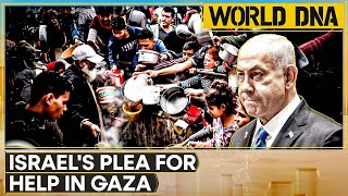 World DNA LIVE: Israeli PM Netanyahu Requests Help Of Red Cross To Aid Hostages In Gaza | WION