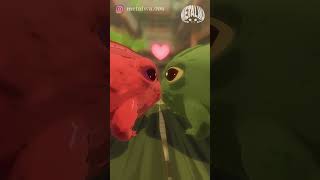 【METALWA-饅頭蛙】紅綠擂台，一觸即發！#shorts #short#rainfrog #frog #cute #funny #taiwanfood