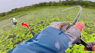 This was a Frog Fishing PARADISE! (Ft. @sobifishing)