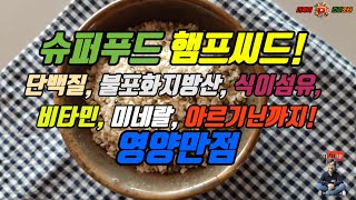 슈퍼푸드 햄프씨드의 놀라운 효능 6가지와 똑똑한 섭취 방법 | 모르고 먹으면 100% 손해!  #햄프씨드 #햄프씨드효능 #햄프씨드먹는법 #슈퍼푸드 #대마씨앗 #혈관건강 #면역력