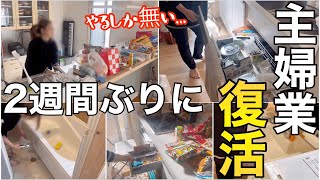 【連休明け直前】体力限界まで収納しまくる【主婦/お家リセット】
