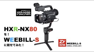 HXR-NX80 & WEEBILLS